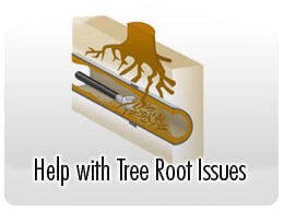 Tree Root Removal
